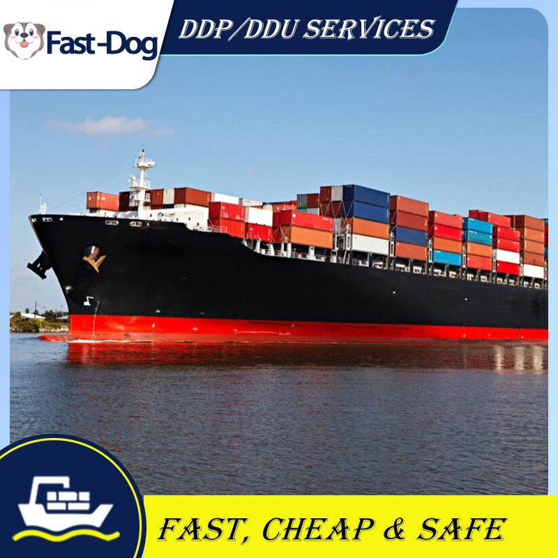 Cheap Logistics Freight Forwarder Agent Cargo Shipping Charges Service From China Shenzhen to USA