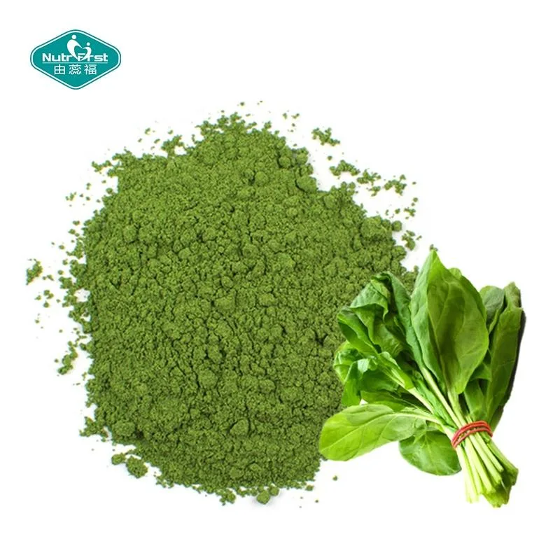 Chinese Wholesale Freeze Dried Vegetable Powder Hot Air Dried Green Spinach Powder