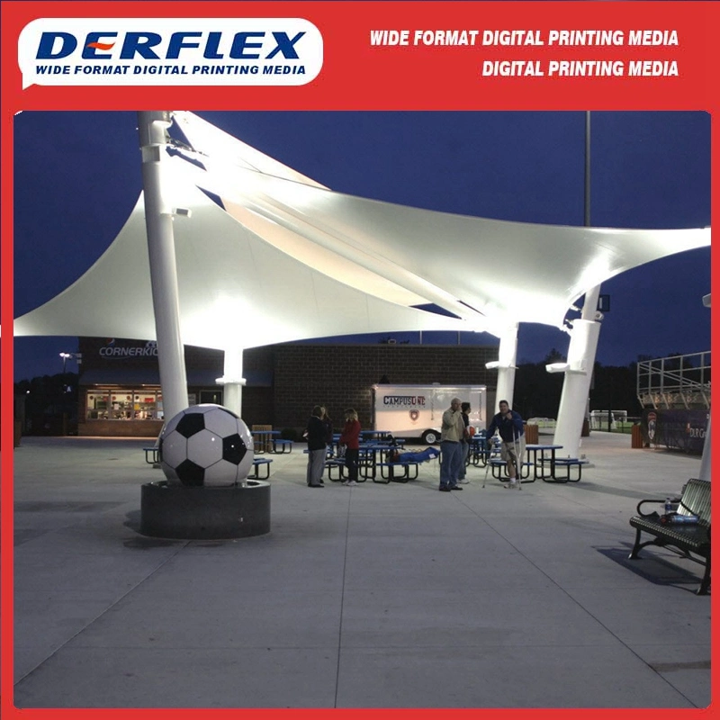 22oz Fire Resistant Awning Fabric for Factory Wholesale/Supplier