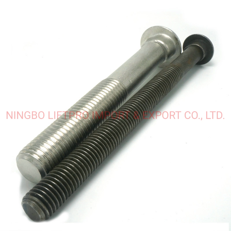 China Track Bolt and Nut Rail Way Black & SS304 SS316 Bolt