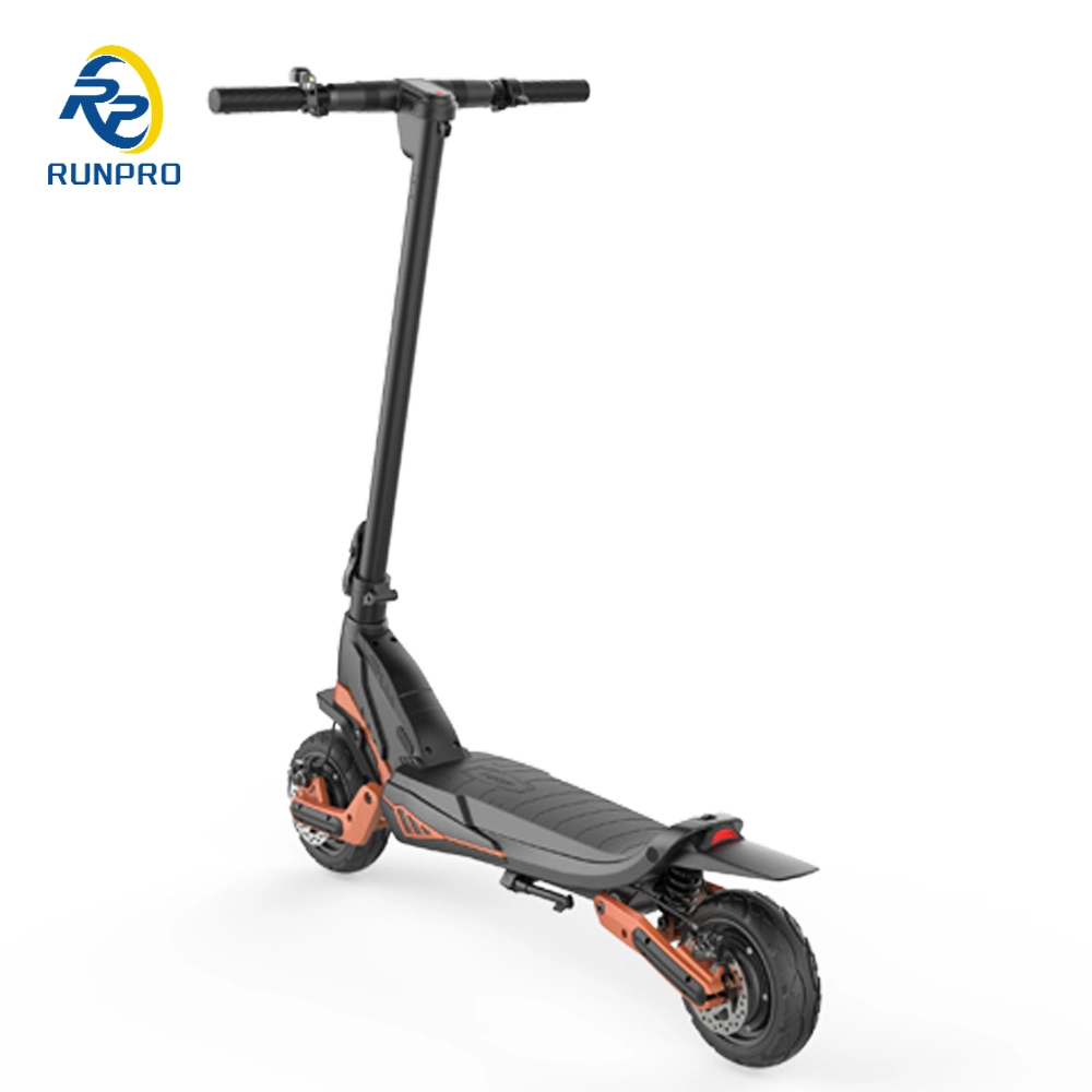 Riding Scooter for Mobility Electric Scooters 500W*2 Dual Motor Lithium Battery 48V 16ah