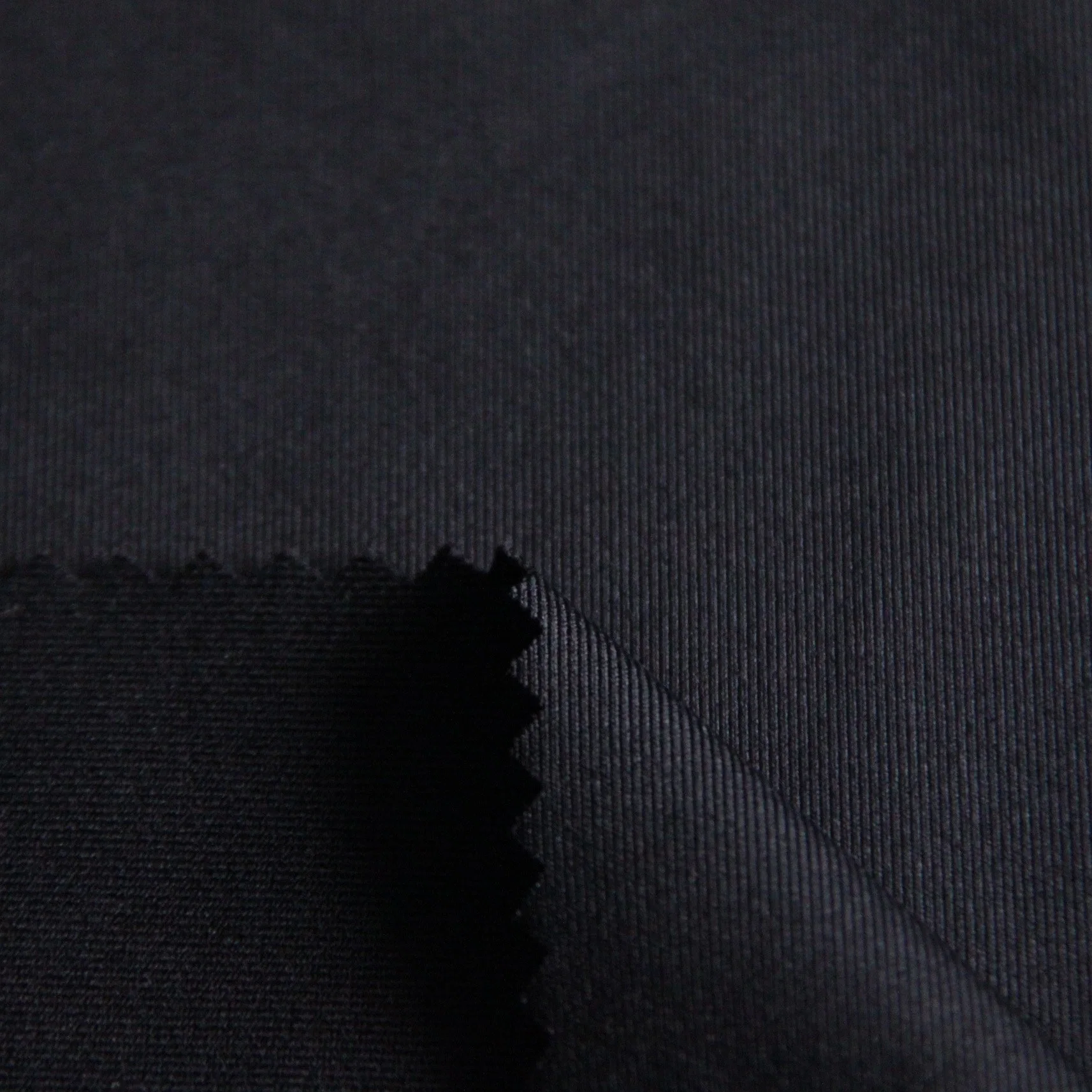 88%Nylon 12%Spandex Black Plain Knitting Jersey Fabrics 300GSM for Apparel/Sportswear/Swimming