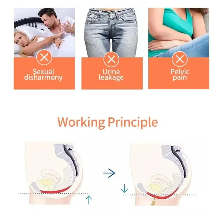 Beauty Health Care Physical Therepy Machine EMS Pelvic Floor Chair Pelvic Floor Muscle Repair Trainer Pelvic Floor Machine