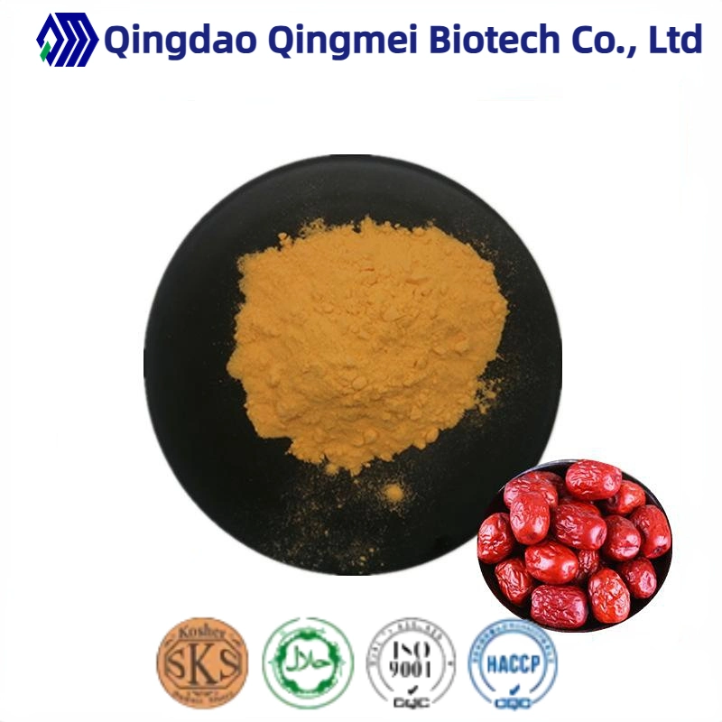 Manufacturer of Halal & Kosher Red Jujube Fruit Powder