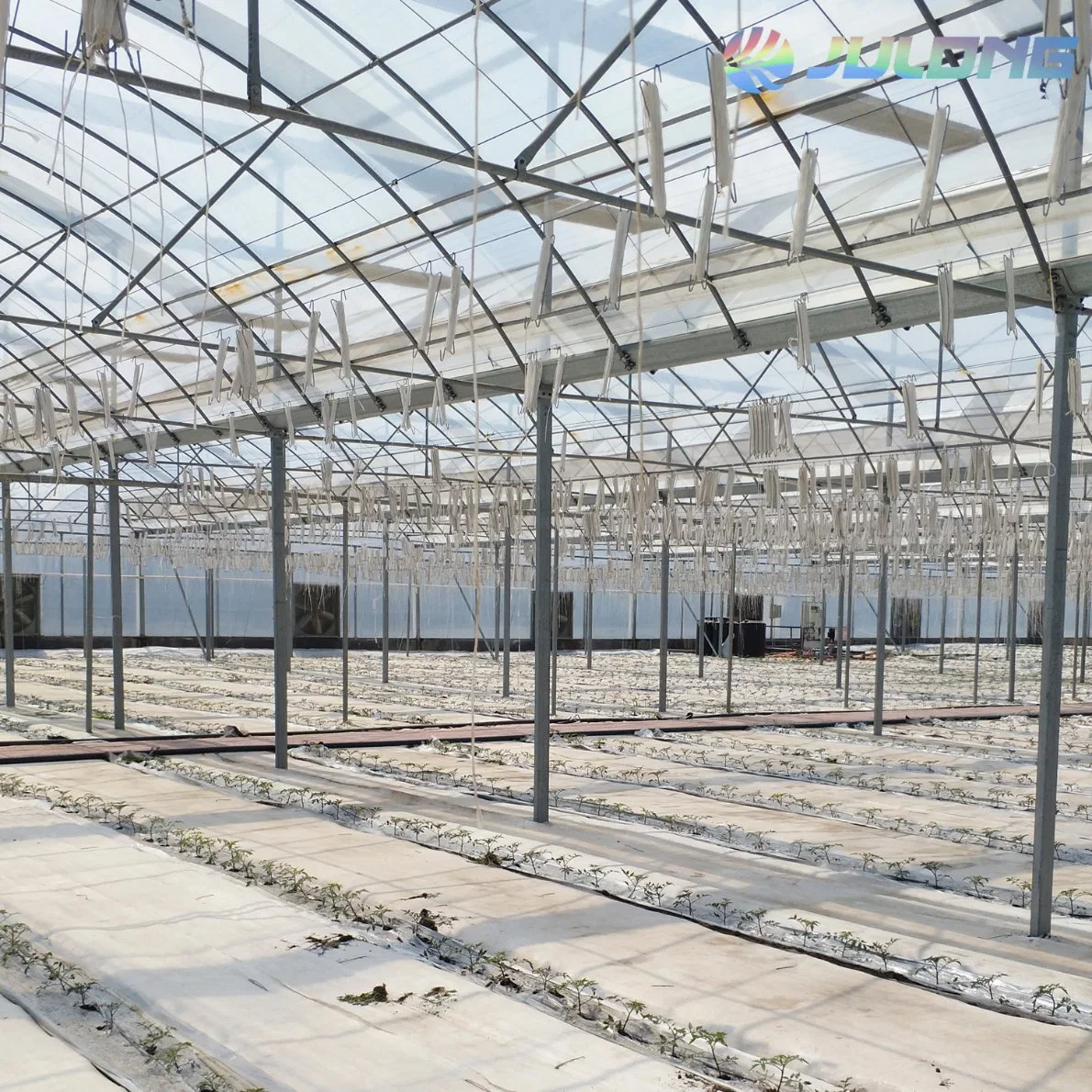 Multi-Span Gutter Connected Tunnel Poly Film Greenhouses for Sale