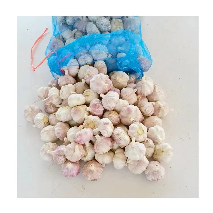China Red Garlic Price Wholesale Price for Import/Export