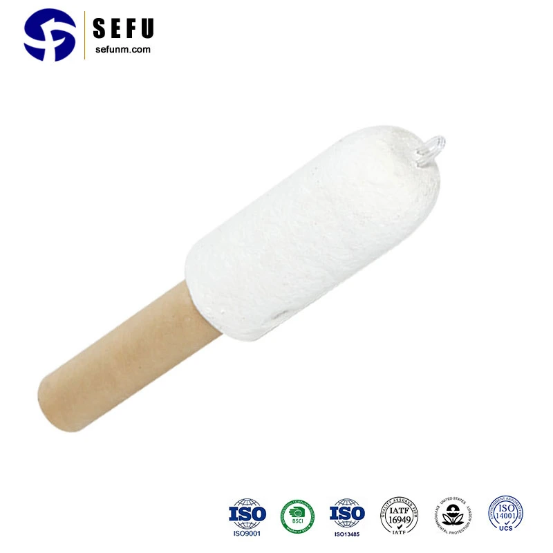 Sefu China Expendable Thermocouple Tip Manufacturing Fast Thermocouple Immersion Thermocouple Probes with Connection Head