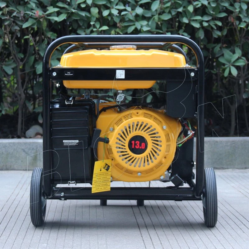 Bison 5kVA 5kw Home Small Portable Power Generator Price BS390 Engine Gas Gasoline Power Generator