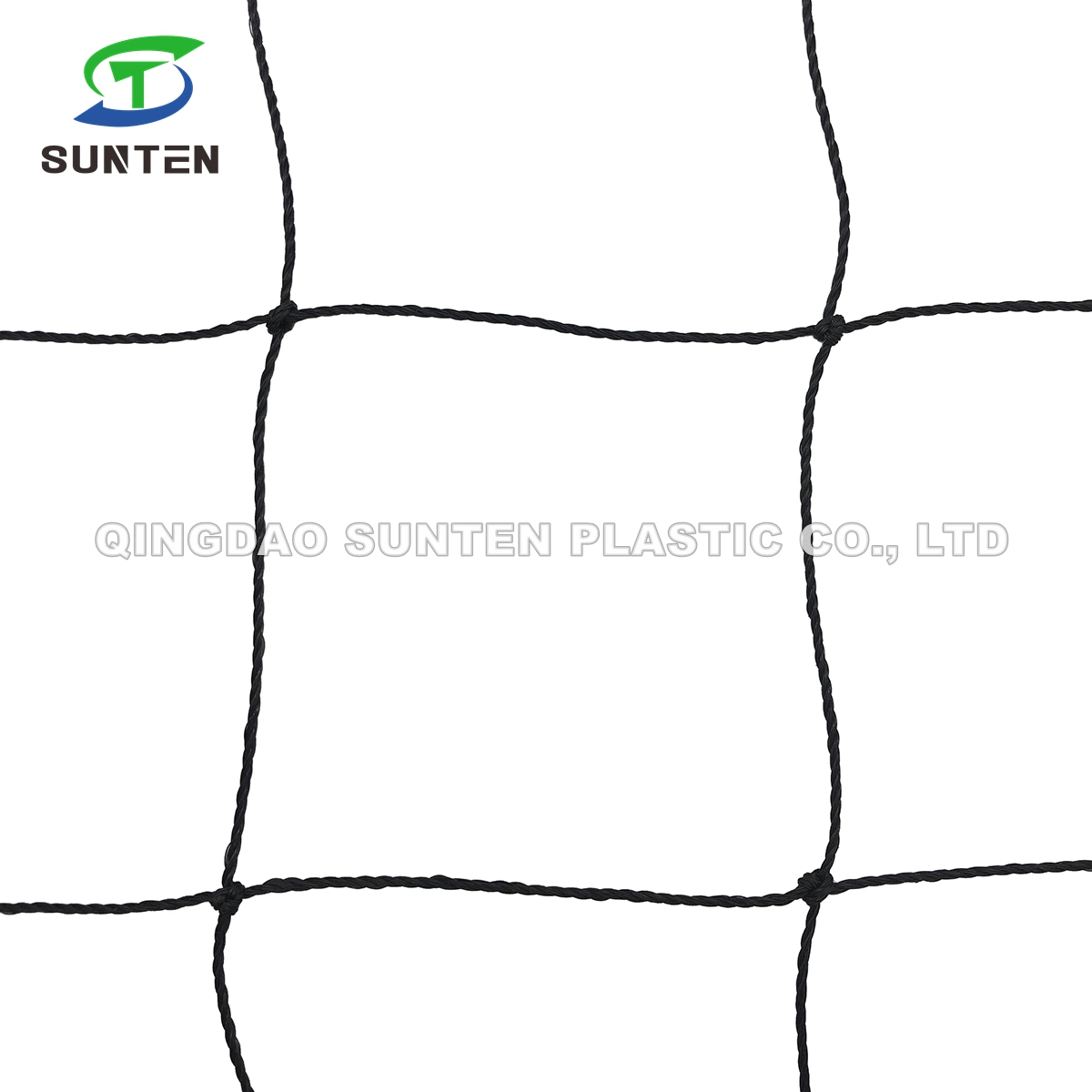 EU Standard Nylon/Polyester/HDPE/PE/Polyethylene/PP Sports/Sport/Volleyball Net