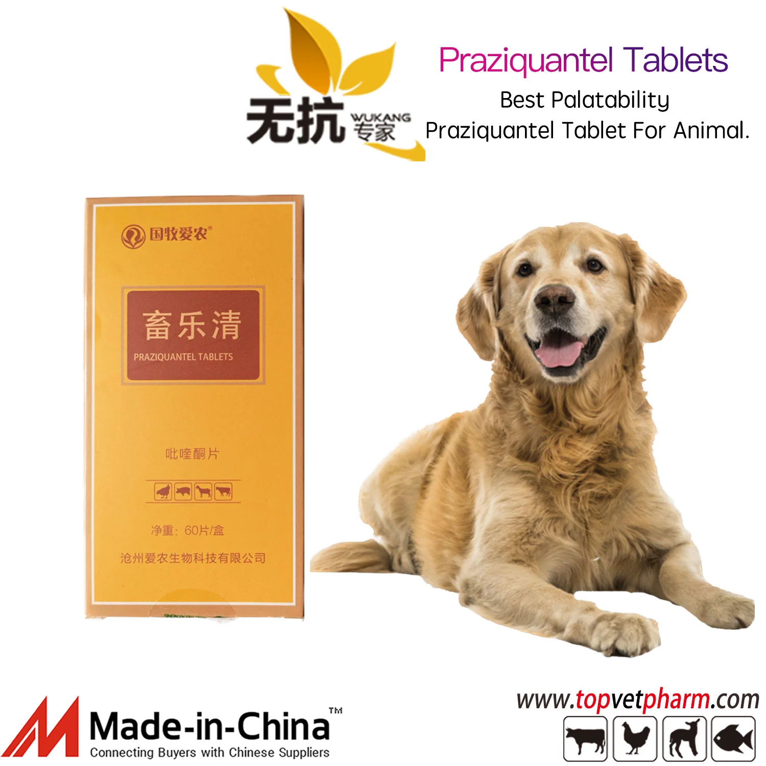 Mejor palatabilidad Praziquantel Tablet para animales.