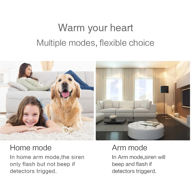 China WiFi+GSM Smart Alarm System WiFi Smart Alarm System