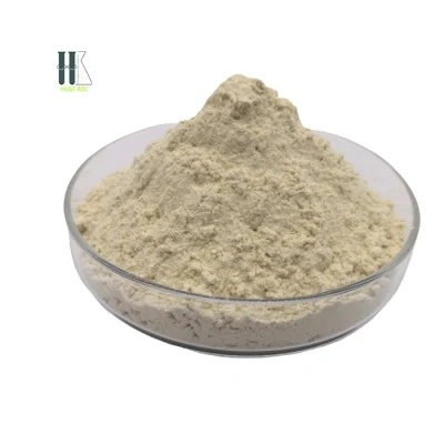 Wholesale/Supplier Factory Price High Protein Food Grade Vital Wheat Gluten 75%