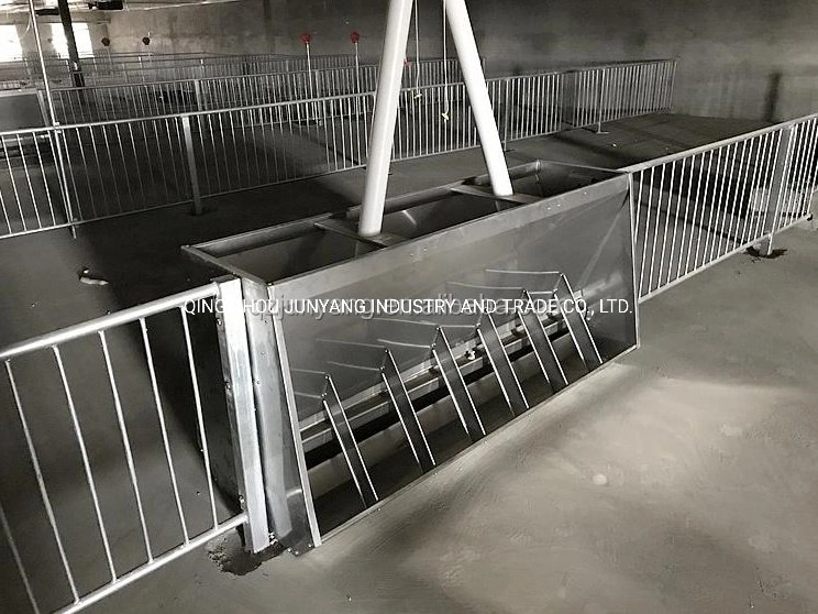 China Made Double-Side Automatic Pig Feeding Trough Hog Feeders Farming Equipment