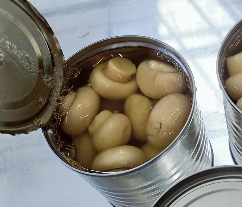 High quality/High cost performance  Canned Food Canned Champignons Mushroom From Original Factory