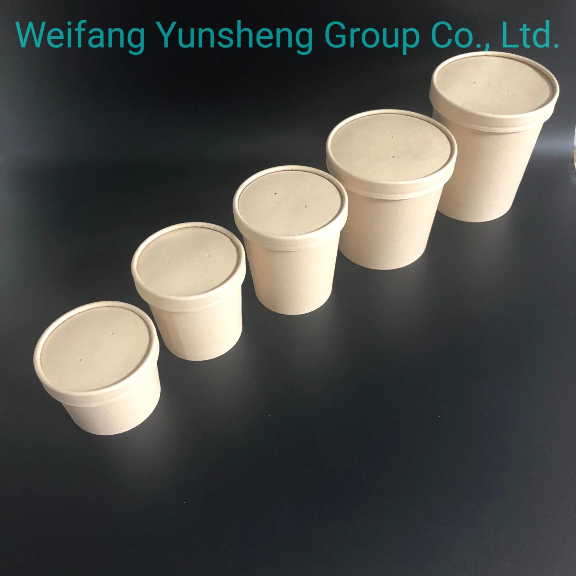 Soup Cup/Container with Lid Soup Take Away Containers Disposable Tableware Manufacturer