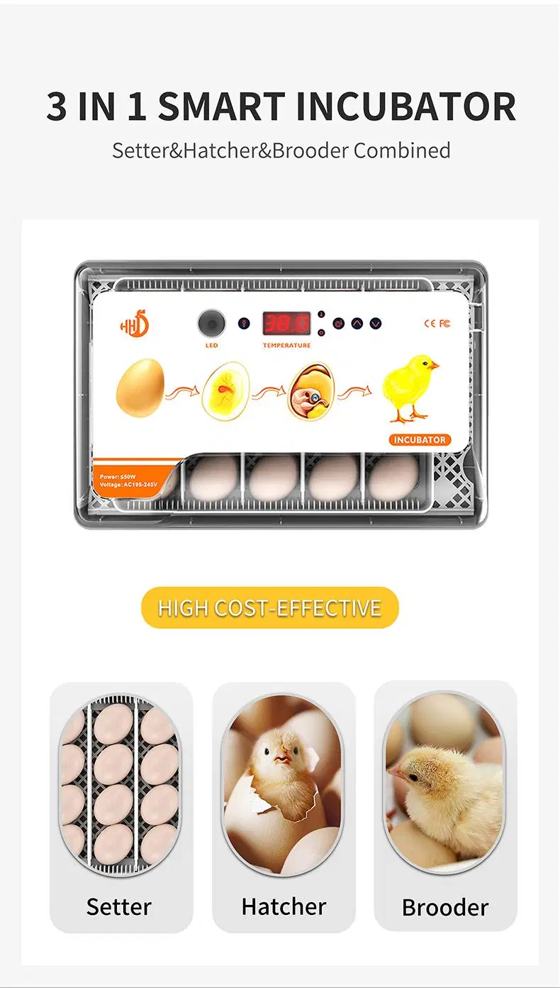 Hhd 20 Eggs Automatic Quail Egg Poultry Incubator Temperature Controller Thermostat for Sale