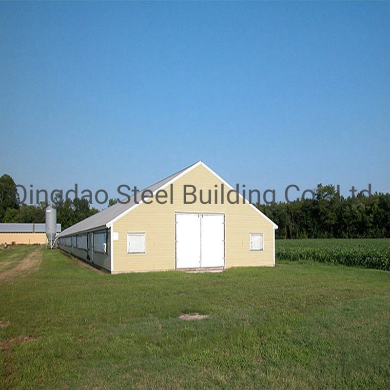 Estructura de acero Prelab Chicken House Farm Construyendo Pollo Pavícola capa Casa de la parrilla