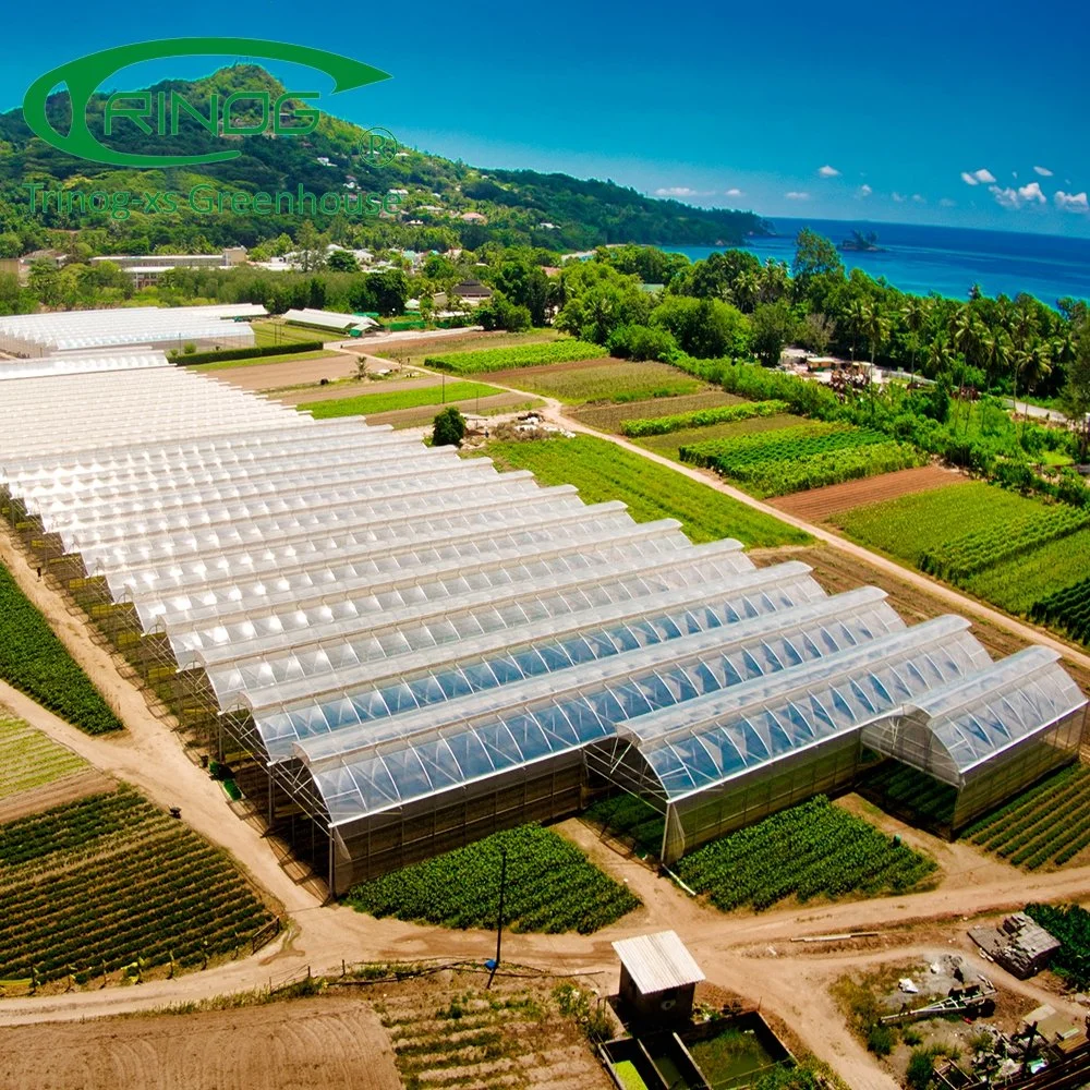 La alta tecnología agrícola de bajo coste que se utiliza plástico hydropoinics material de construcción de invernaderos para la venta