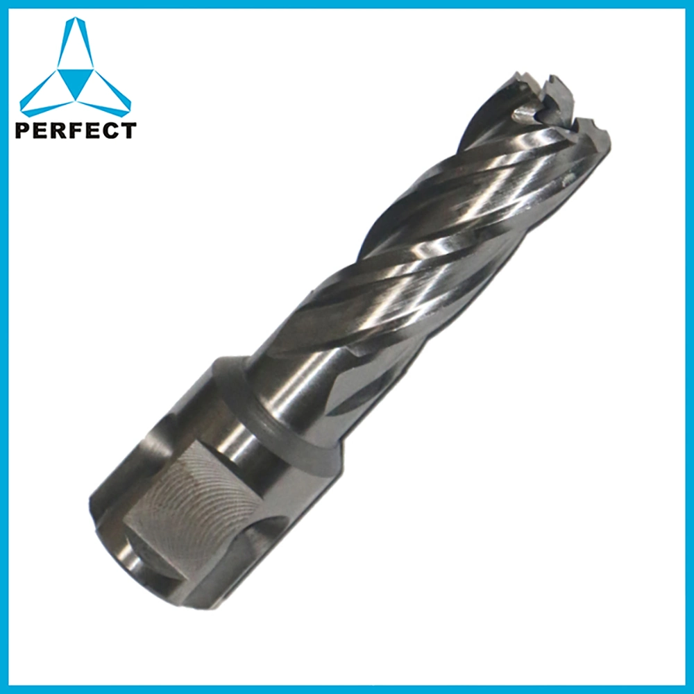 Thread Shank HSS Hole Annular Broach Cutter Core Drill Bit