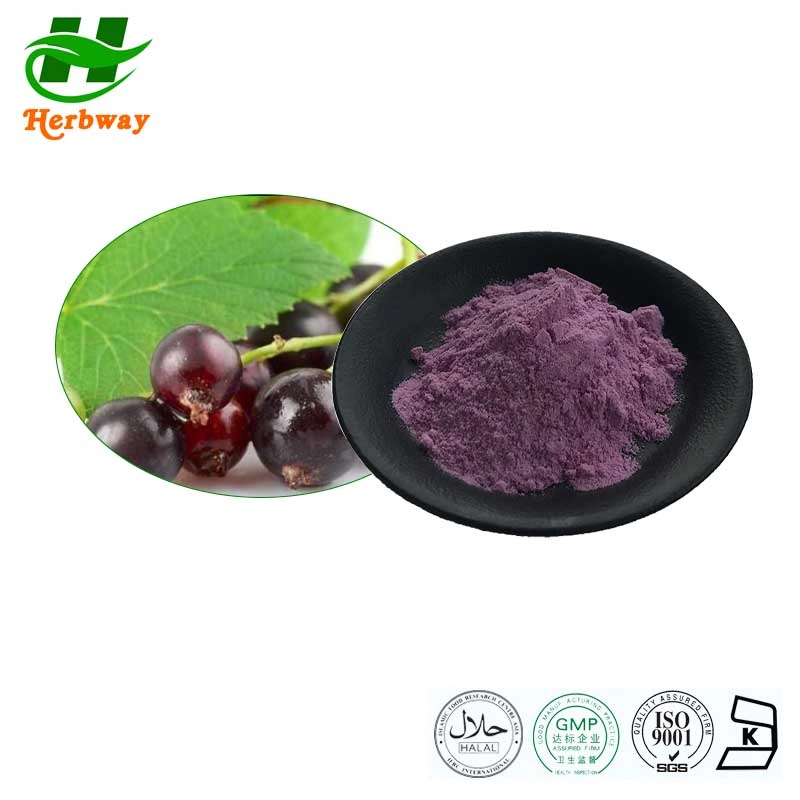 Herbway Kosher Halal Fssc HACCP Certified Anthocyanidins Black Currant Fruit Powder