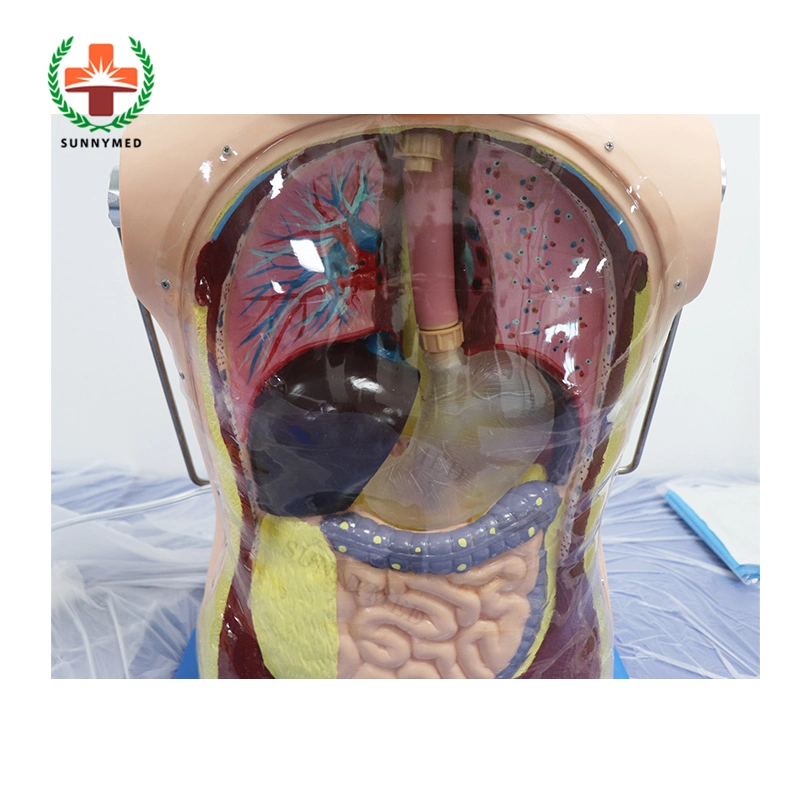 Sy-N03113 الرضاعة الأنفية للتدريب على القنينة ومحاكاة العلاج بالعين