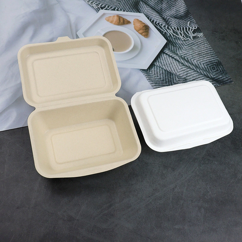 Disposable Food Container Natural Pulp One-Piece Lunch Box 300ml/600ml Sandwich Box (UP-116)