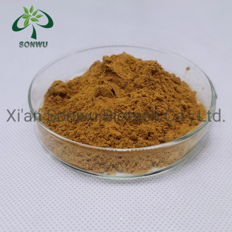 Sonwu Ajuga Turkestanica Extract Turkesterone Powder Turkesterone