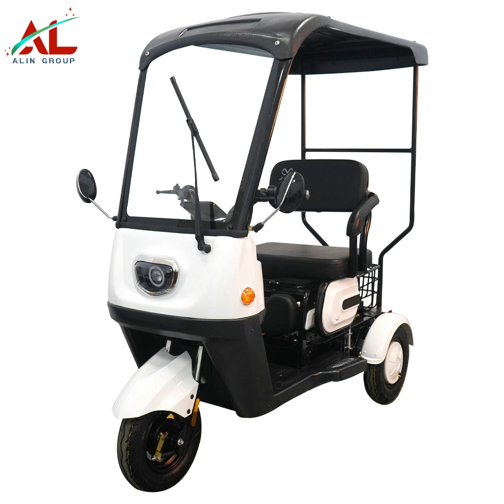 Electric Rickshaw for Sale, Electric Trike, Adult Tricycle, Motor Tricycle, Three Wleerler, E Rickshaw, E Tricycle