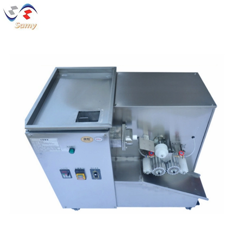 Dz-2D Stainless Steel Honey Pill Making Machine Medical Herbal Granule Maker Equipment