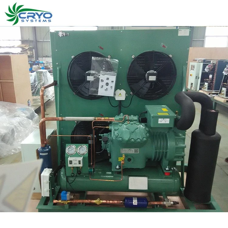 Industrial Refrigeration Unit New Condensing Unit for Cold Room Storage