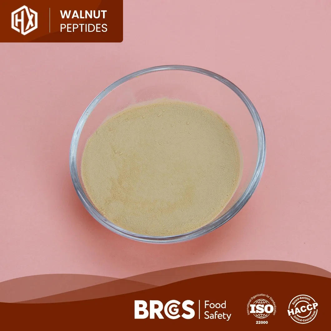 Haoxiang Wholesale/Supplier Bulk High Purity Walnut Peptides in Immune Anti-Fatigue Customized Clear Hydrolyzed Instant Textured Isolate Walnut Peptides Protein Powder