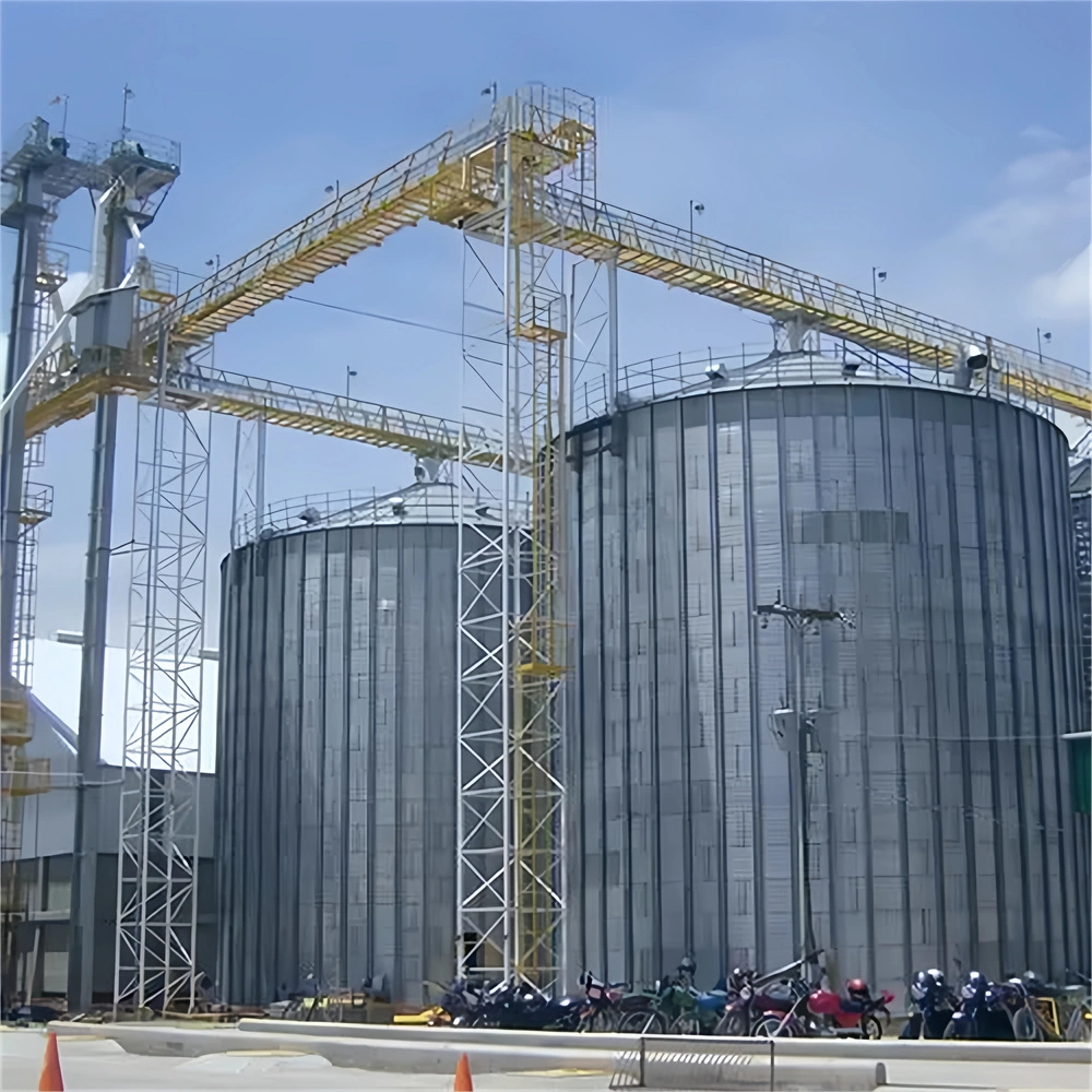 500t Galvanizing Steel Grain Silo for Paddy Storage