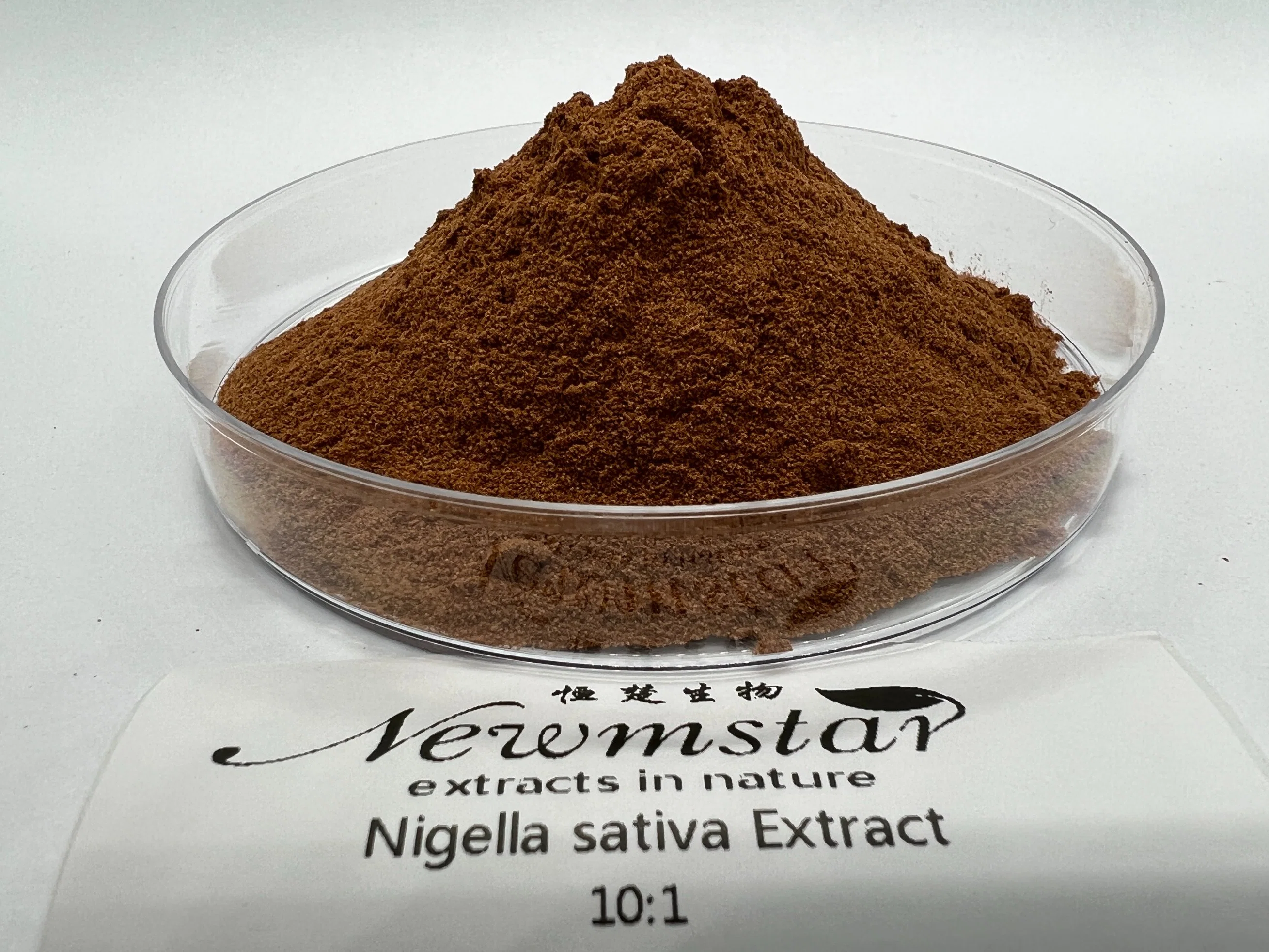 Cumin Seed Nigella sativa Seed Extract 5% 10% 20% مسحوق ثيموكينون