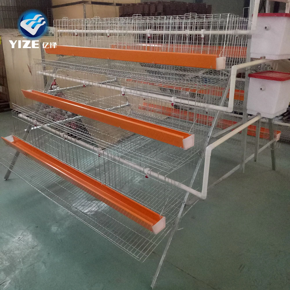 3 Tier 96 Capacity Chicken Layer Poultry Farm Design