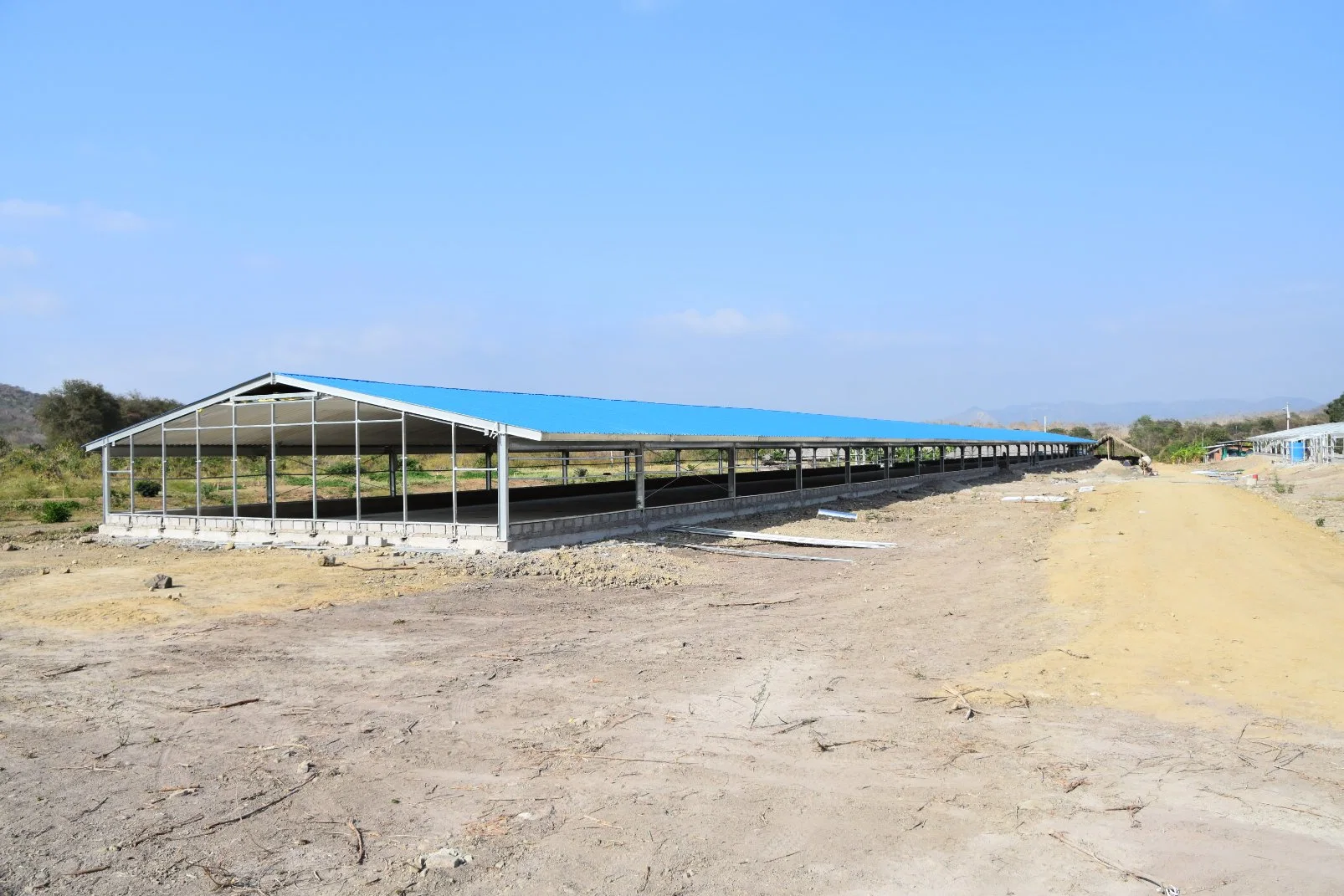 Estructura de acero económica prefabricada Turnkey aves de corral de equipos para la casa de Breeder Pollo