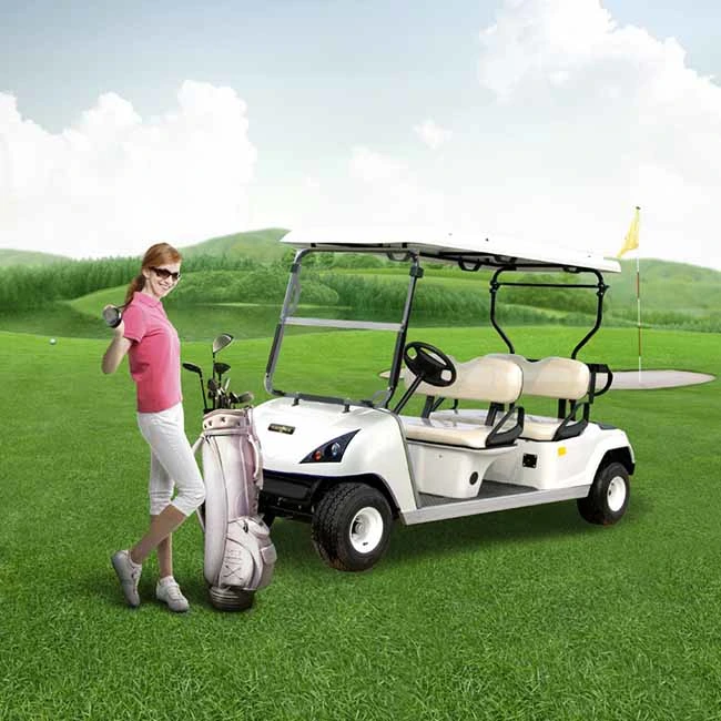 Professional Transportation Electric Mini Vehicle Lithium Battery Golf Cart (DG-C4)