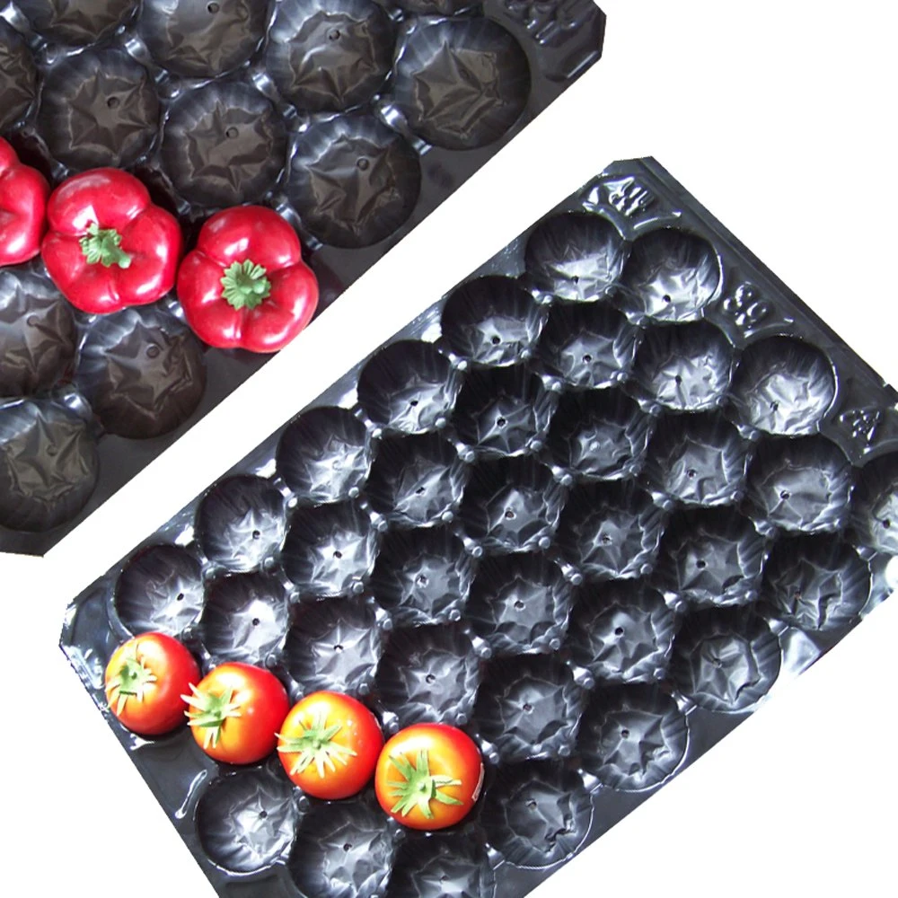 China Professional Producer SGS, FDA Standard Fruit Blister Packing Made of PP for Protective, Display in Supermarket