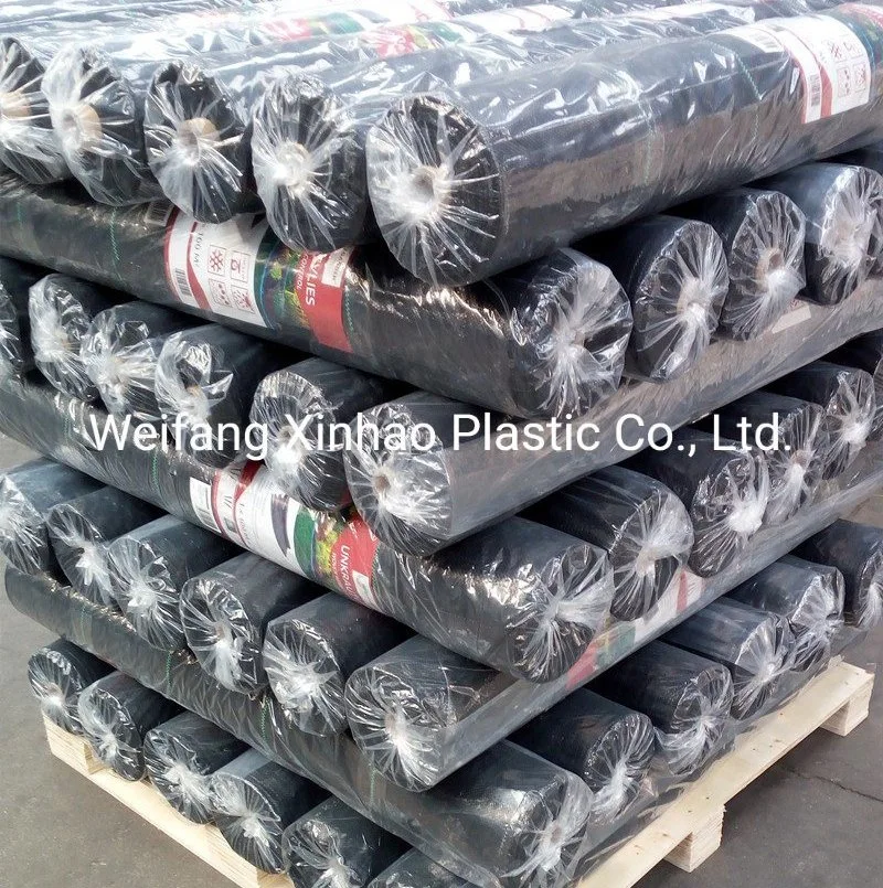 PP Woven 100g Ground Cover Fabric with SGS Test Report