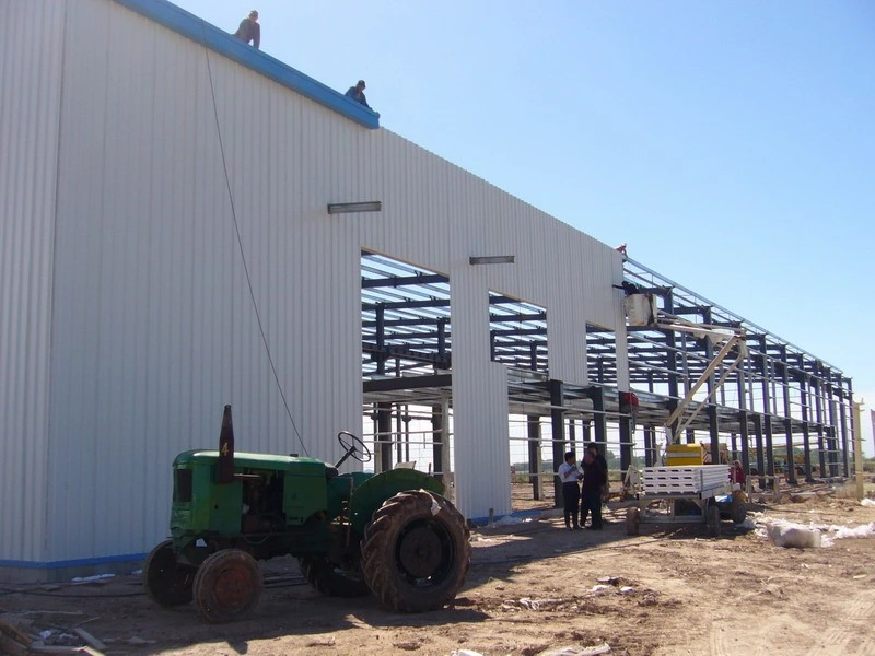 Lightweight Prefabricated Customized Steel Structure Engineered Project Warehouse Building in African Countries