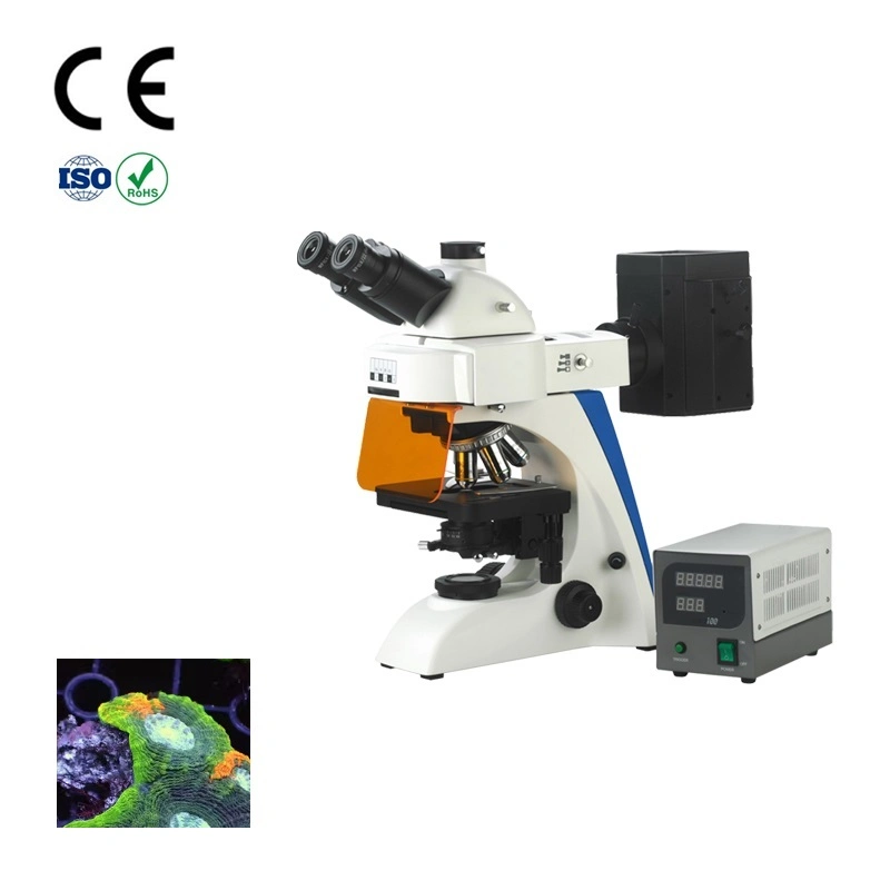 Microscope Specification Trinocular Fluorescence Microscope for Microscopy Holder