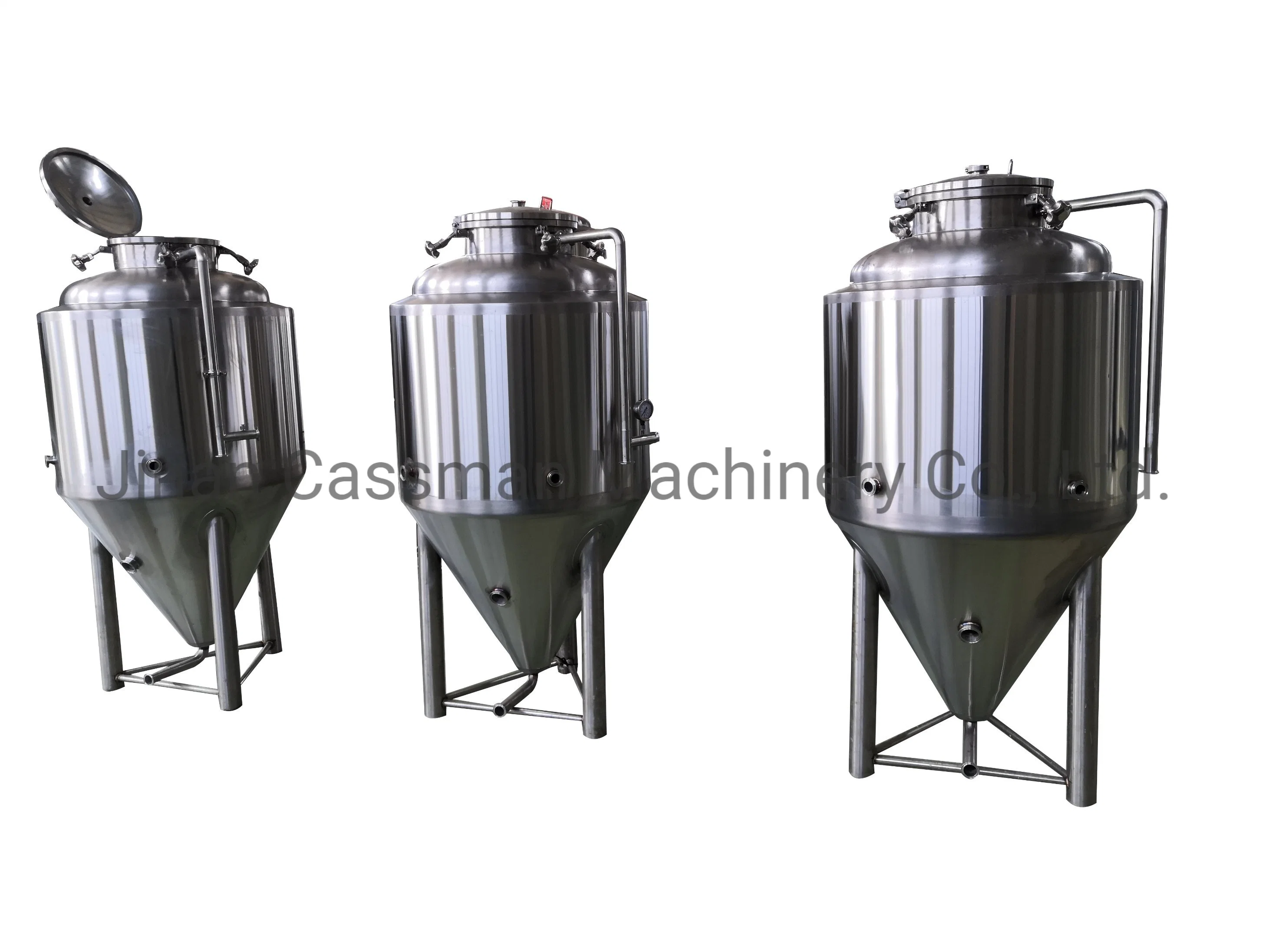 Cassman 300L 2 Vessels Electric Heating Beer Brewing Machinery for Sale