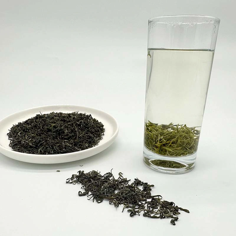 Coleção Fuding Duyun Maojian Green Tea 2023 melhor sabor Guizhou Duyun Maojian Embalagem em bloco origem China