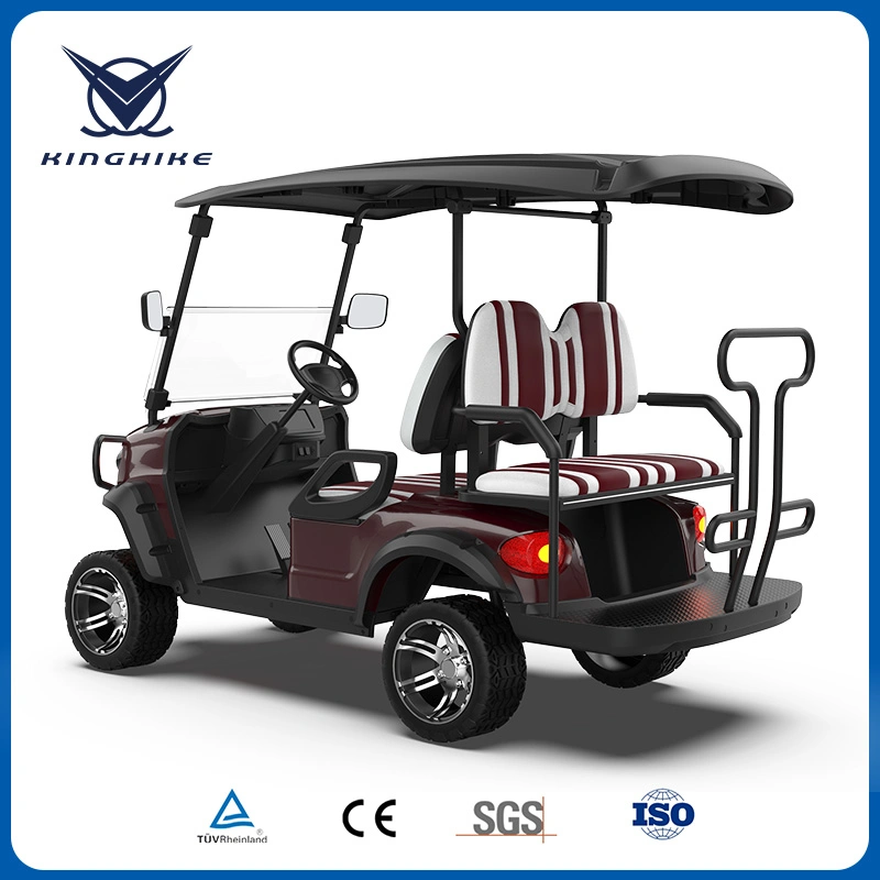 CE Approved Buggy/Golf Kinghike Packed and Loaded by Container Beach Cart Golf Carts for Sale