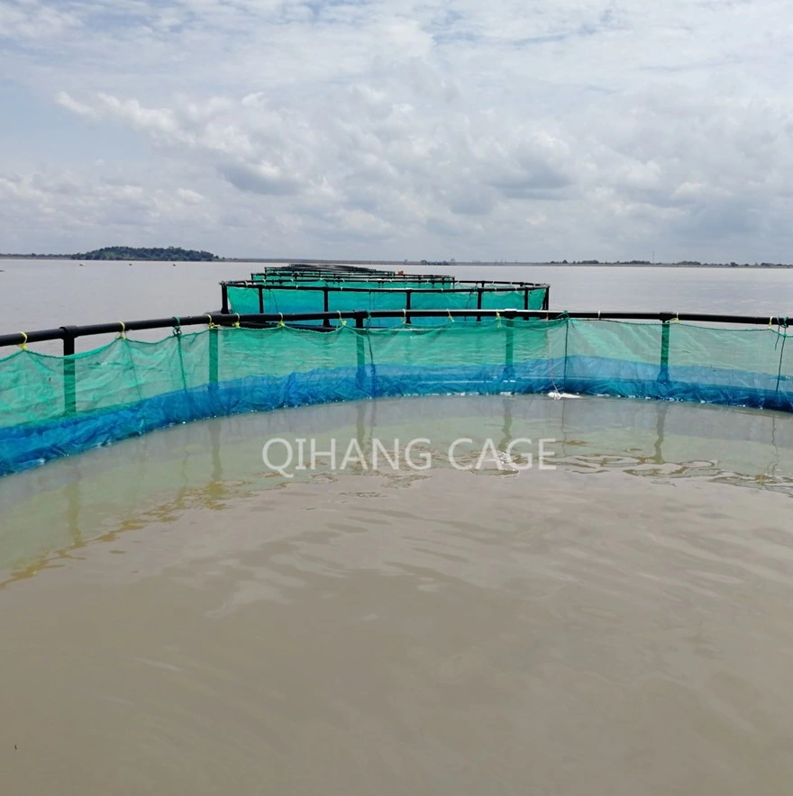 HDPE Fish Farm Cage for Intensive Farming in The Sea or Lake