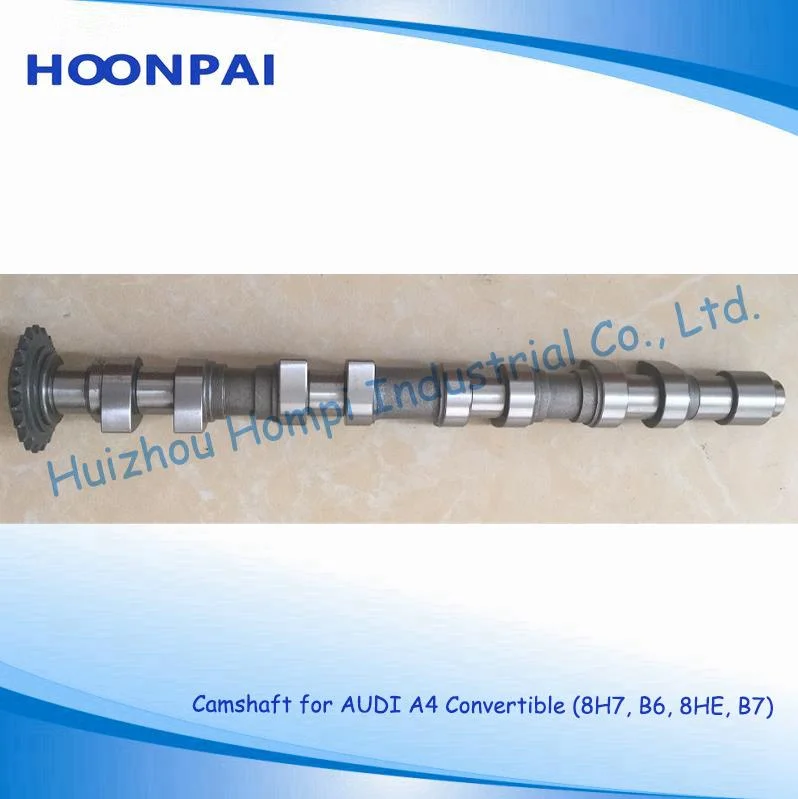 Auto Spare Part Camshaft for Volkswagen/Audi A4 Convertible (8H7, B6, 8HE, B7)/A6 Avant (4A, C4) 058109022B(IN) 058109021B(EX) 074109101J/Bmm/BPW/Brc A3 2.0tdi