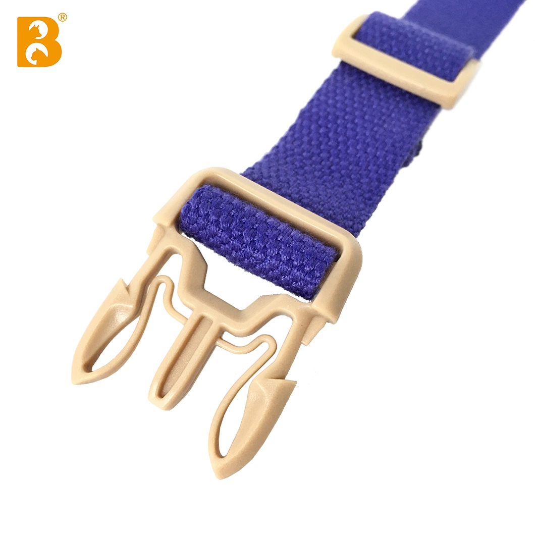 2023 New Design Contrast Color Buckle Dog Collar