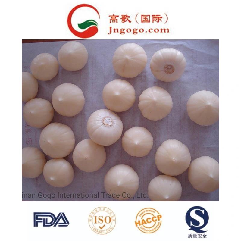 Export Good Quality Fresh Chinese Garlic Fresh Vegetables Fresh Garlic