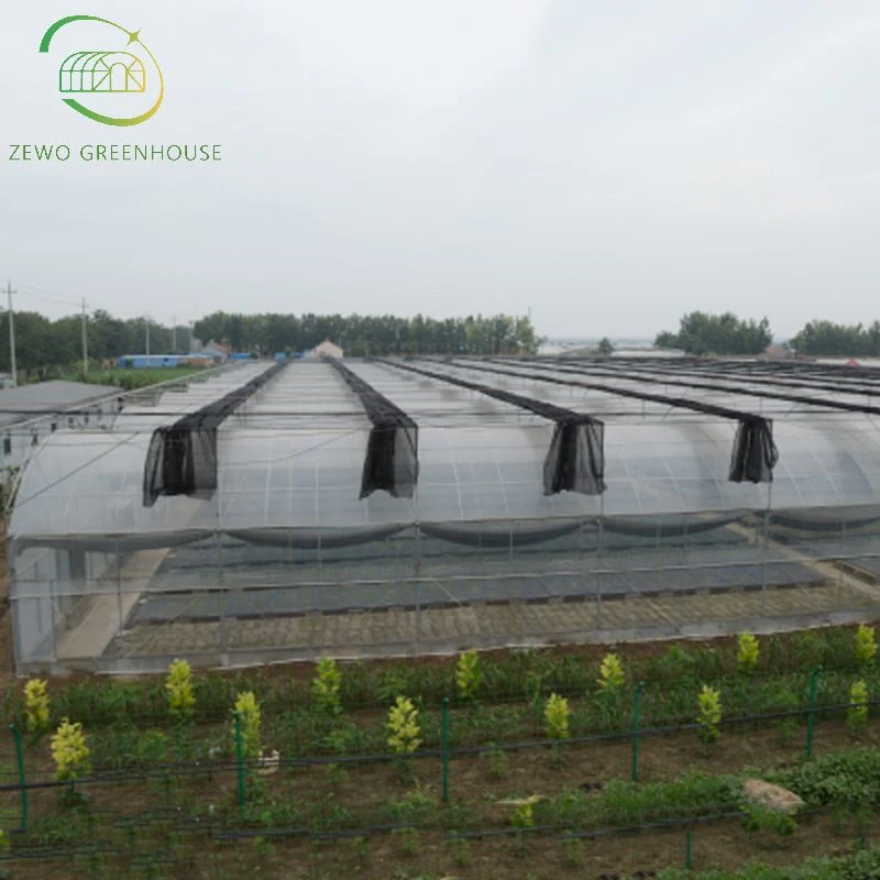 Serre agricole moderne Multi-Span Arch à faible coût avec ombrage externe Système de culture des semis