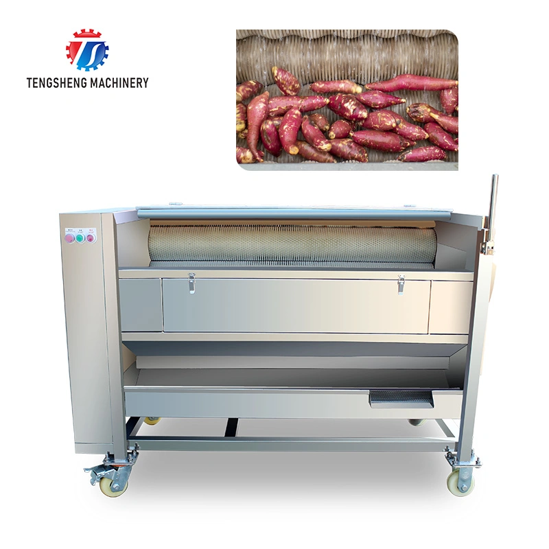 Industrial Electric Potato Carrot Brush Cleaning Washing Peeling Machine (TS-M600)