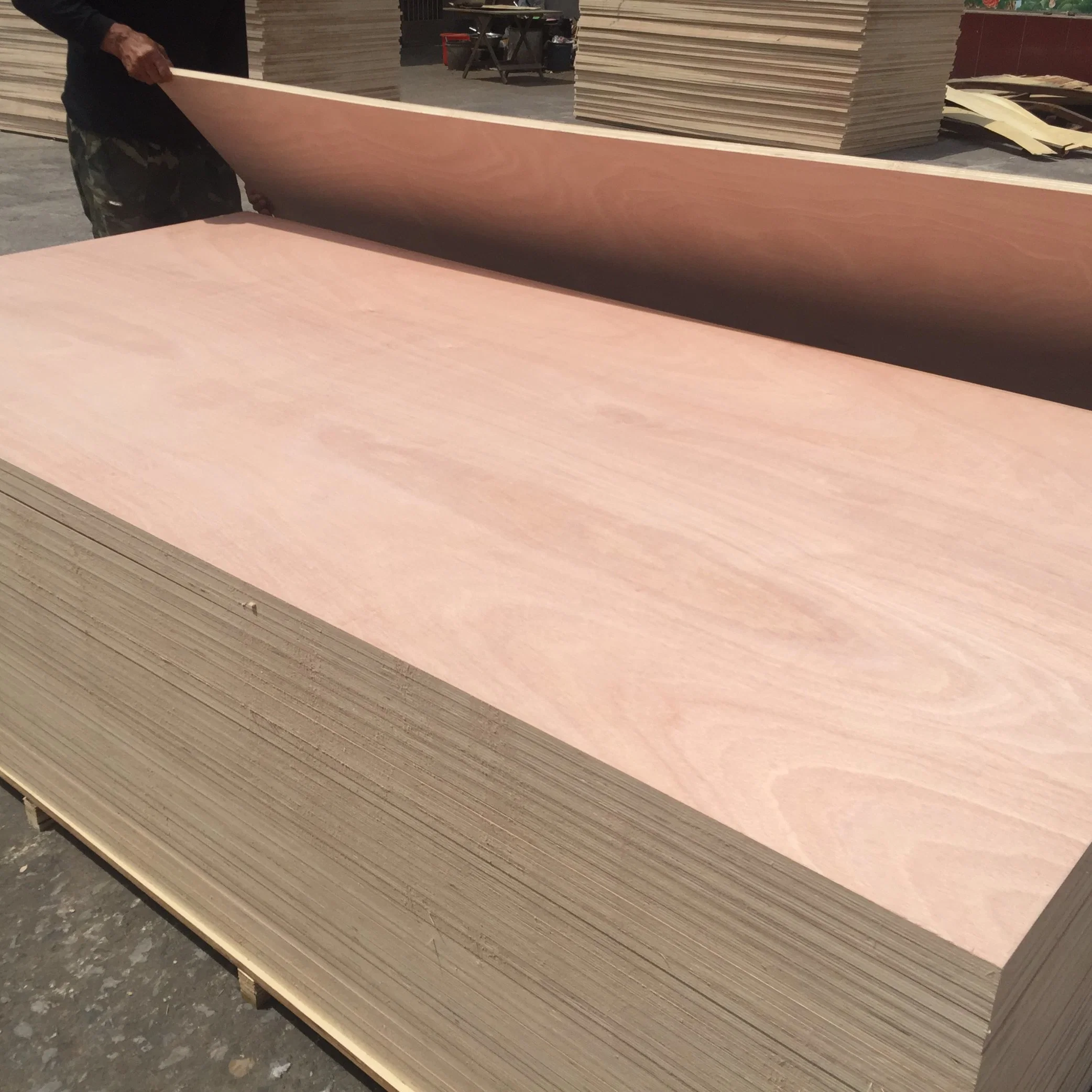 4 X 8 Size Hot Sales Fresh Poplar Core Okoume Veneer Bb / Bb Cc / Cc Marine Plywood for Furniture